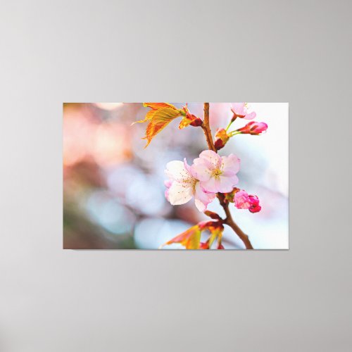 Pink Sakura Against The Grayish Background Canvas Print