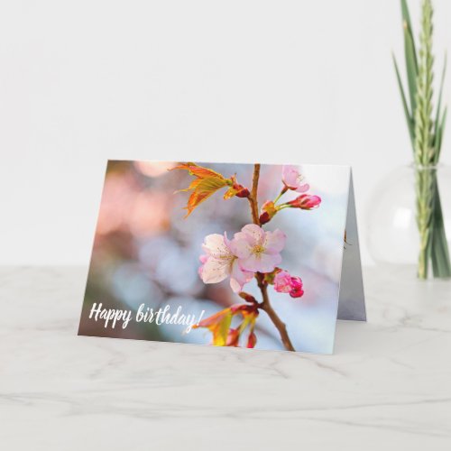 Pink Sakura Against The Grayish Background Card