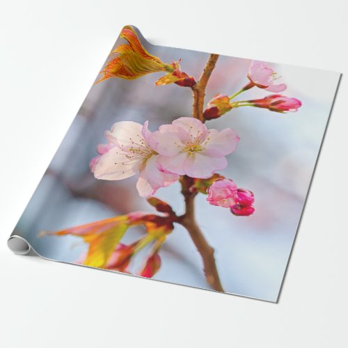 Pink Sakura Against The Grayish Background Wrapping Paper