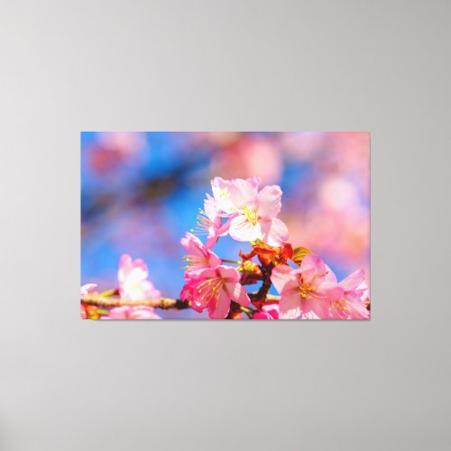 Pink Sakura Blossoms On A Sunny Day Of Spring Canvas Print