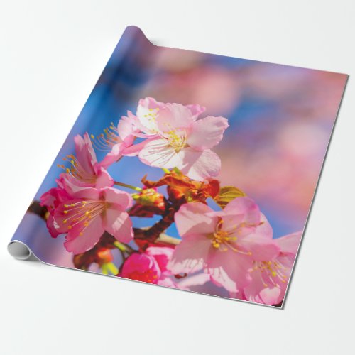 Pink Sakura Blossoms On A Sunny Day Of Spring Wrapping Paper