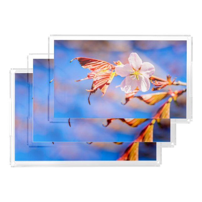 Pink Sakura Flower Blue Sky Acrylic Tray (Set)