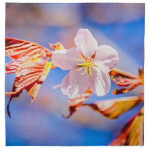 Pink Sakura Flower Blue Sky Cloth Napkin