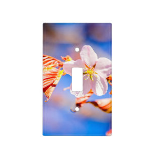 Pink Sakura Flower Blue Sky Light Switch Cover