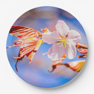 Pink Sakura Flower Blue Sky Paper Plates