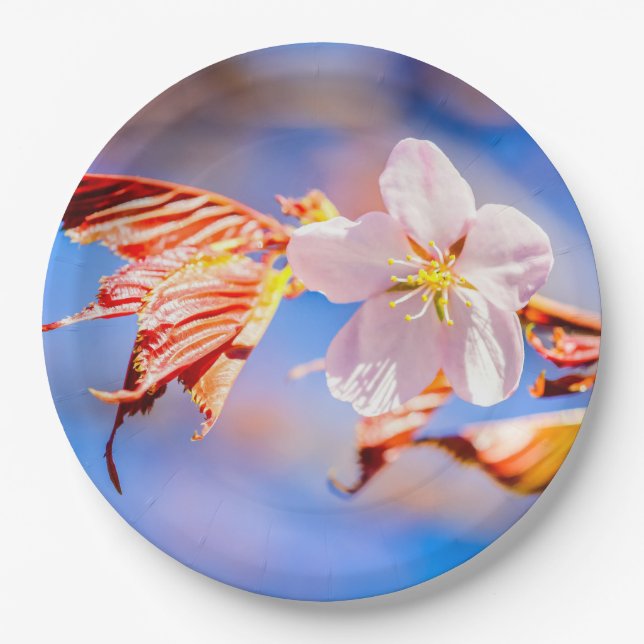 Pink Sakura Flower Blue Sky Paper Plates (Front)