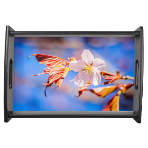 Pink Sakura Flower Blue Sky Serving Tray