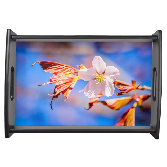 Pink Sakura Flower Blue Sky Serving Tray (Front)