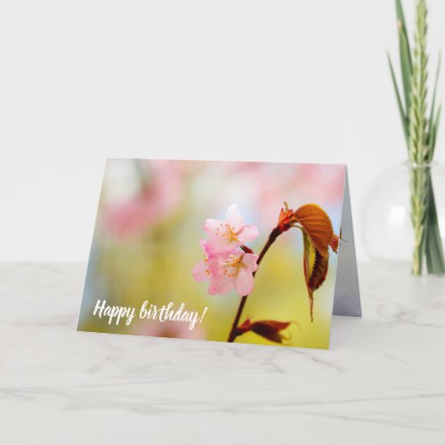 Pink Sakura Flowers And Red Leaves In Springtime Card