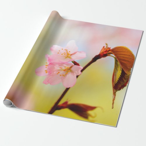 Pink Sakura Flowers And Red Leaves Wrapping Paper