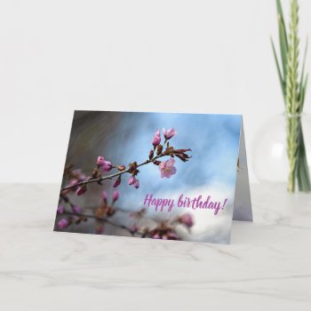 Pink Sakura Flowers  Blue Sky  White Cloud Card by DigitalSolutions2u at Zazzle