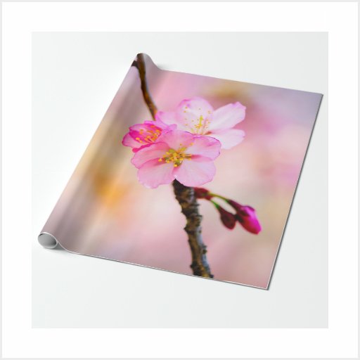 Pink Sakura Flowers Cherry Blossoms Wrapping Paper