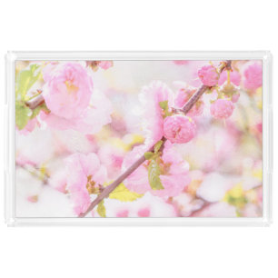 Pink sakura flowers - Japanese cherry blossom Acrylic Tray
