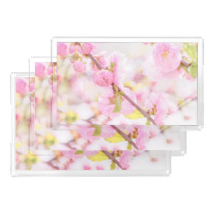 Pink sakura flowers - Japanese cherry blossom Acrylic Tray