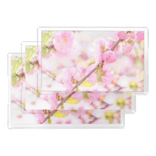 Pink sakura flowers - Japanese cherry blossom Acrylic Tray