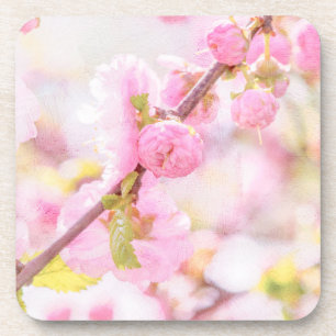 Pink sakura flowers - Japanese cherry blossom Beverage Coaster