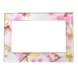 Pink sakura flowers - Japanese cherry blossom Magnetic Frame