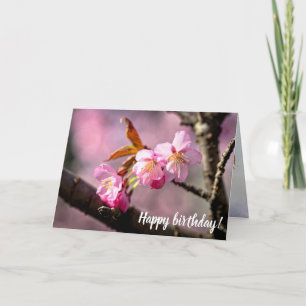 Pink Sakura Flowers On A Tree In Springtime Card