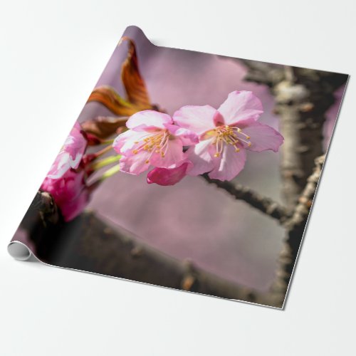 Pink Sakura Flowers On A Tree Wrapping Paper