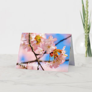 Pink Sakura Flowers On A Warm Day Of Springtime Card