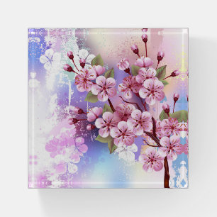 Pink Sakura on Painting Background Paperweight