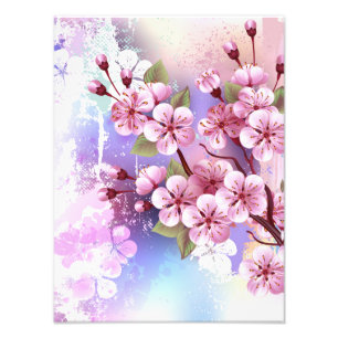 Pink Sakura on Painting Background Photo Print