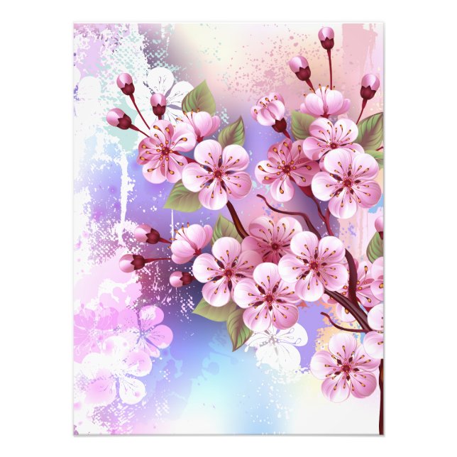 Pink Sakura on Painting Background Photo Print (Front)