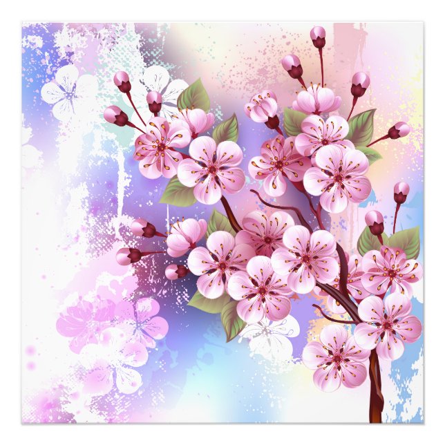 Pink Sakura on Painting Background Photo Print (Front)