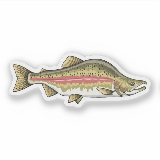 Pink Salmon Spawning Phase Sticker (Front)