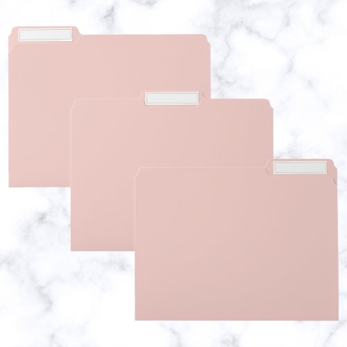 Pink Salt Solid Color File Folder