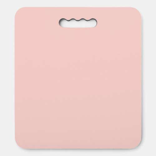 Pink Salt Solid Color Seat Cushion