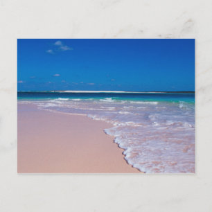 Pink sand beach at Conch Bay, Cat Island, Postcard