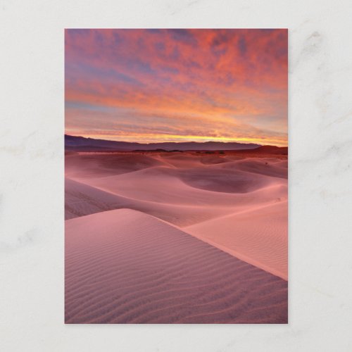 Pink sand dunes Death Valley CA Postcard
