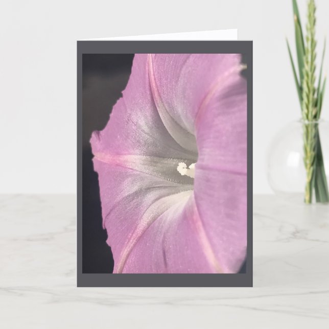 Pink-Satin Morning Glory Blank Card (Front)