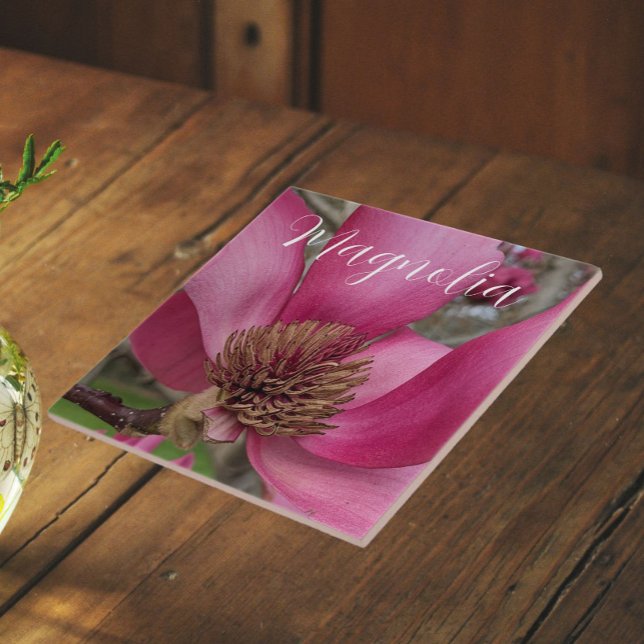 Pink Saucer Magnolia Blossom Floral Ceramic Tile (In Situ)