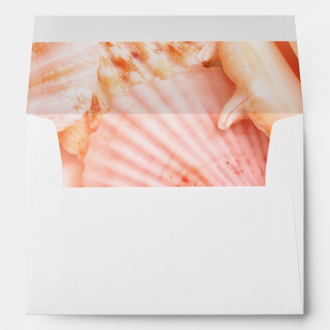 Pink Seashells Envelope (Back (Bottom))