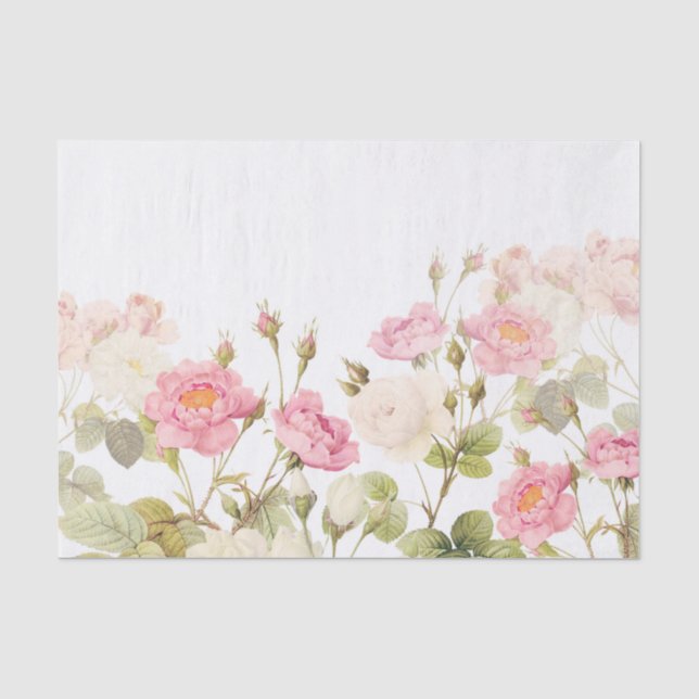Pink Sepia Vintage Roses Meadow Illustration Tissue Paper (Front)