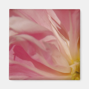 Pink Shade Magnet