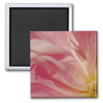 Pink Shade Magnet by pulsDesign at Zazzle