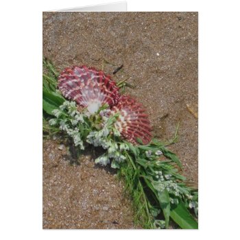 Pink Shells And White Flowers On Beach Sand by Say_i_love_you at Zazzle