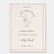 Pink Silly Goose Baby Shower Welcome