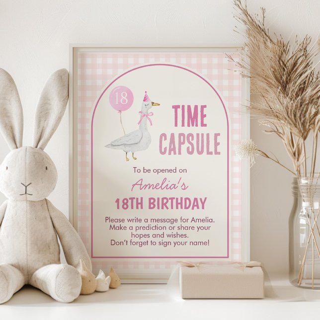 Pink Silly Goose Birthday Time Capsule Sign (Creator Uploaded)