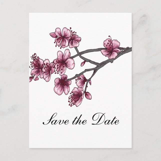 Pink Simple Cherry Blossoms Save the Date Postcard (Front)