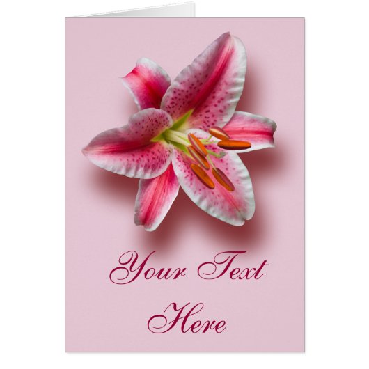 Pink Single Stargazer Lily Cards (Front)