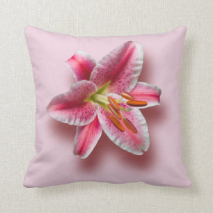 Pink Single Stargazer Lily Throw Pillow