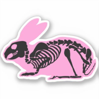 Pink Skeleton Rabbit