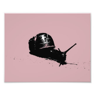 Pink Snail Photo Print