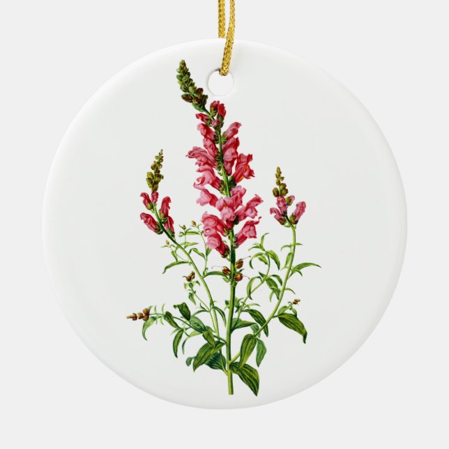 Pink Snapdragon Drawn From Nature Ceramic Ornament (Front)