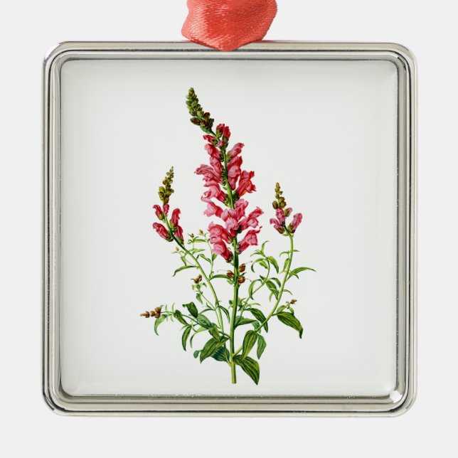 Pink Snapdragon Drawn From Nature Metal Ornament (Front)