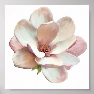 Pink Southern magnolia poster
